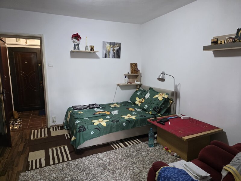 Piata Minis, chiar pe barajul Bicaz, 10 minute metrou Costin Georgian,