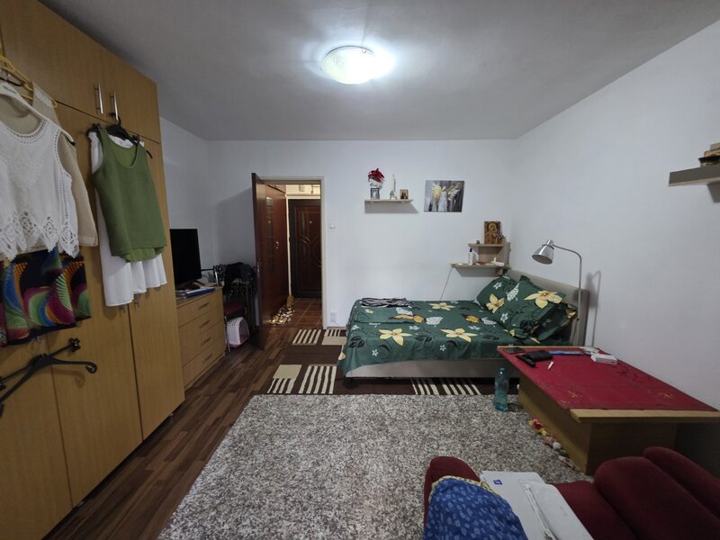 Piata Minis, chiar pe barajul Bicaz, 10 minute metrou Costin Georgian,