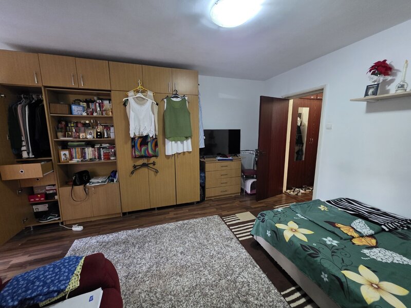 Piata Minis, chiar pe barajul Bicaz, 10 minute metrou Costin Georgian,